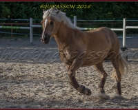 2-13JUIN 0411